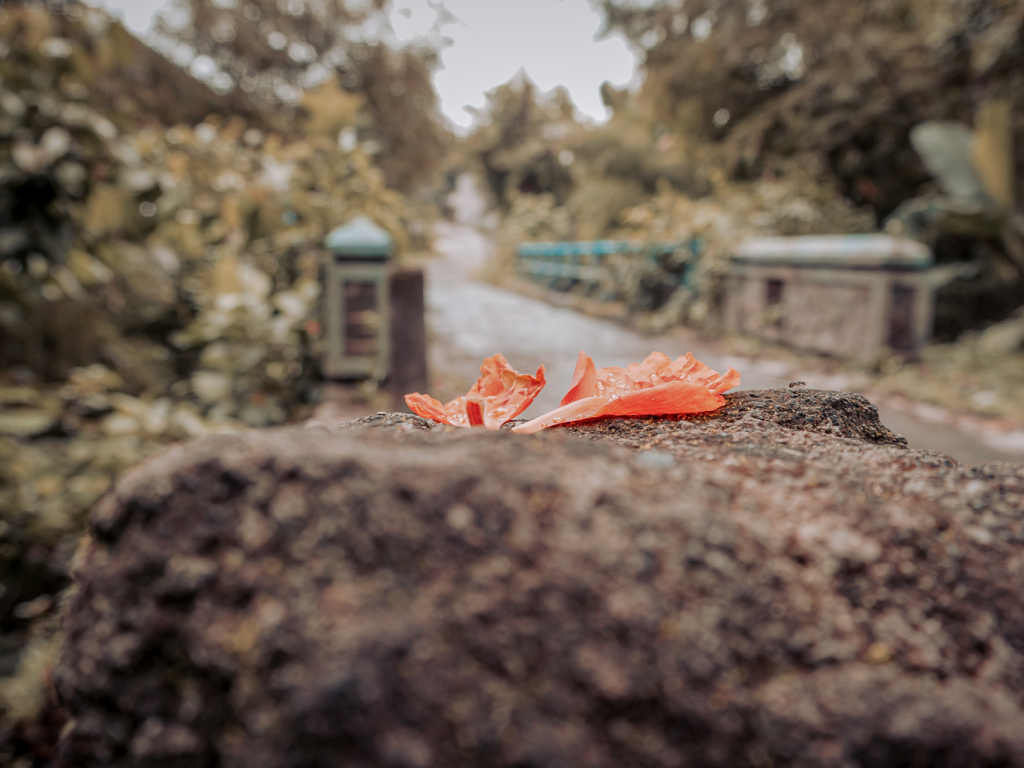 Blog Bilder4