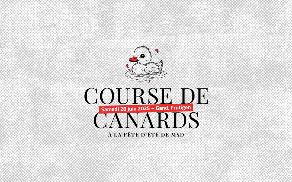 coursedecanards 1610