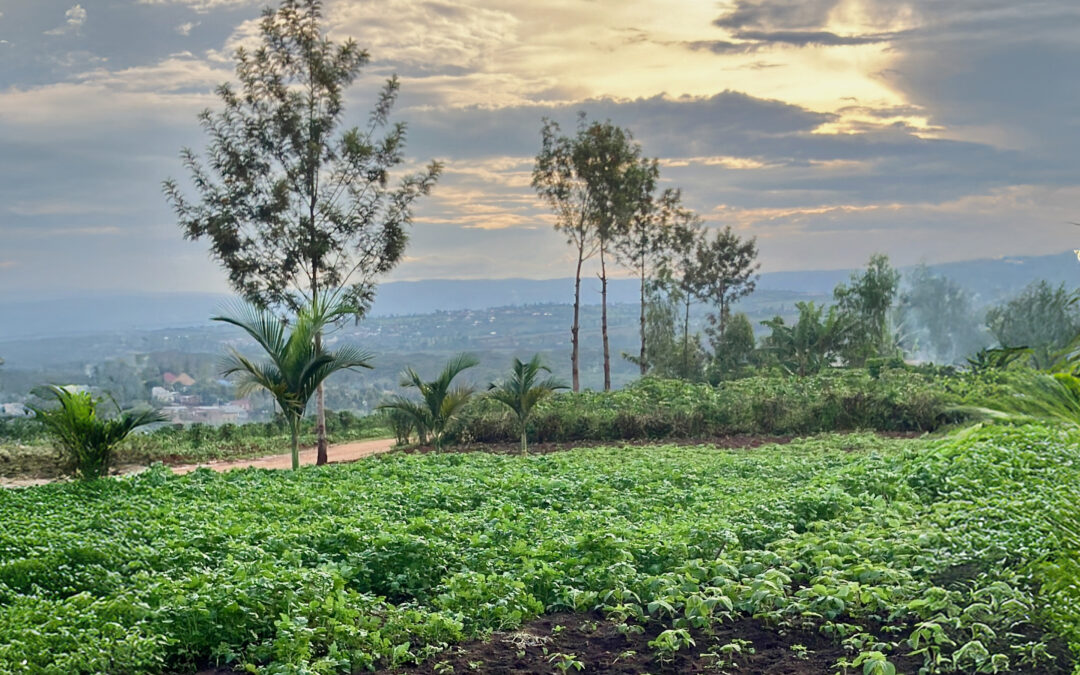 More than food – How discipleship changes hearts and fields